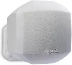 Biamp MASK2-W