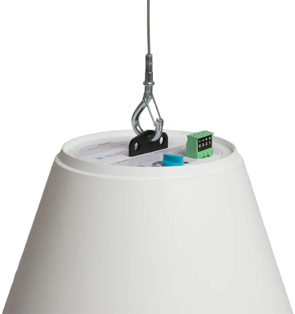 Biamp P60DT-W