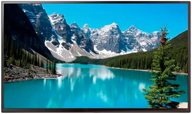 Информационный дисплей BOE 43" SL43AP-PBMA04